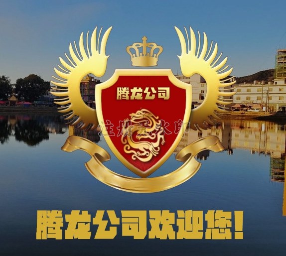 腾龙游戏办公环境